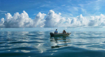 10357178_10152153152966527_115172291567715901_n 1.jpg