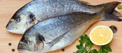 1460066_10151804406281527_333661769_n 1.jpg