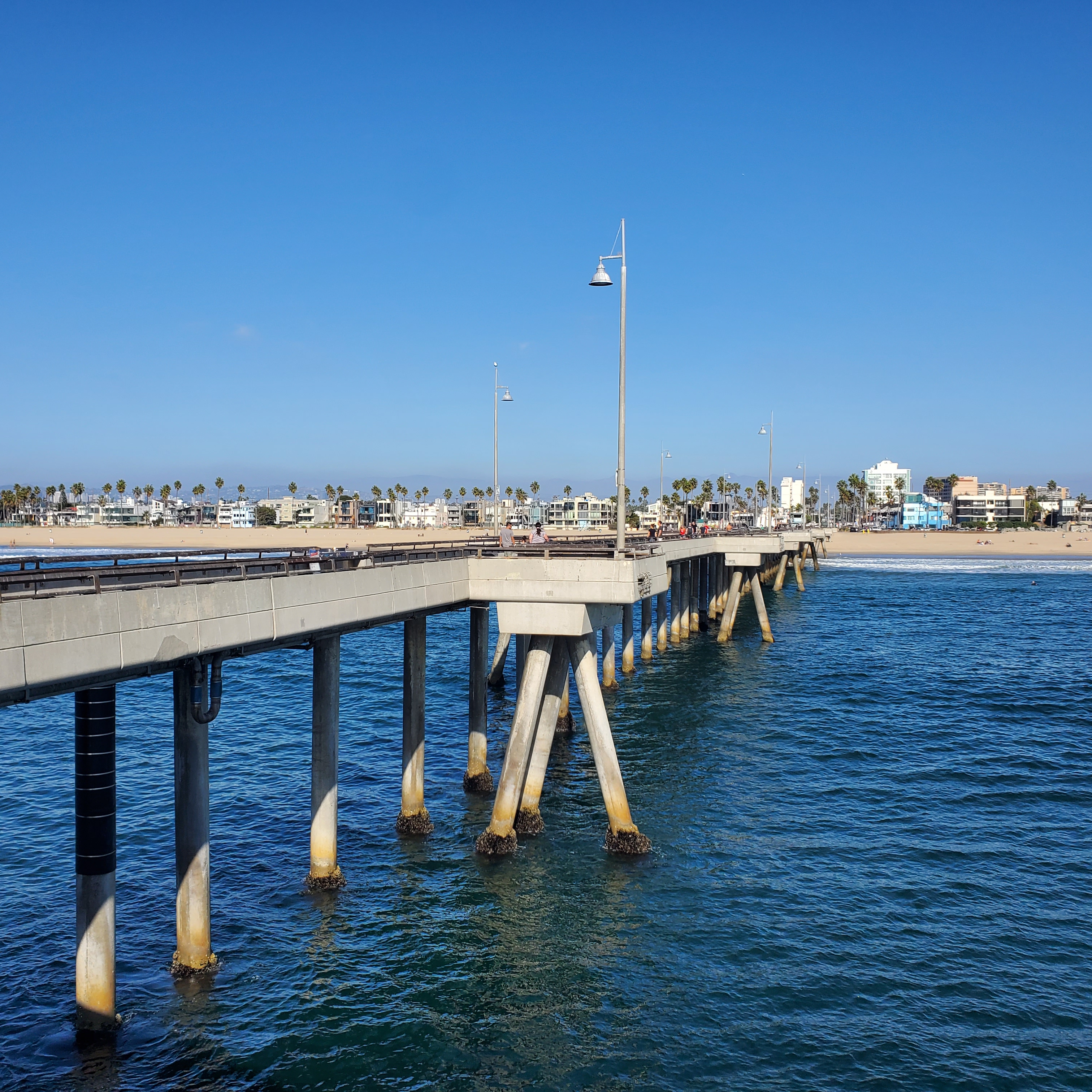 Venice pier